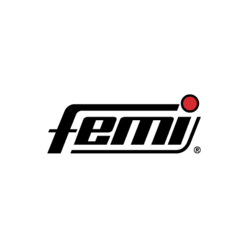 FEMI Logo